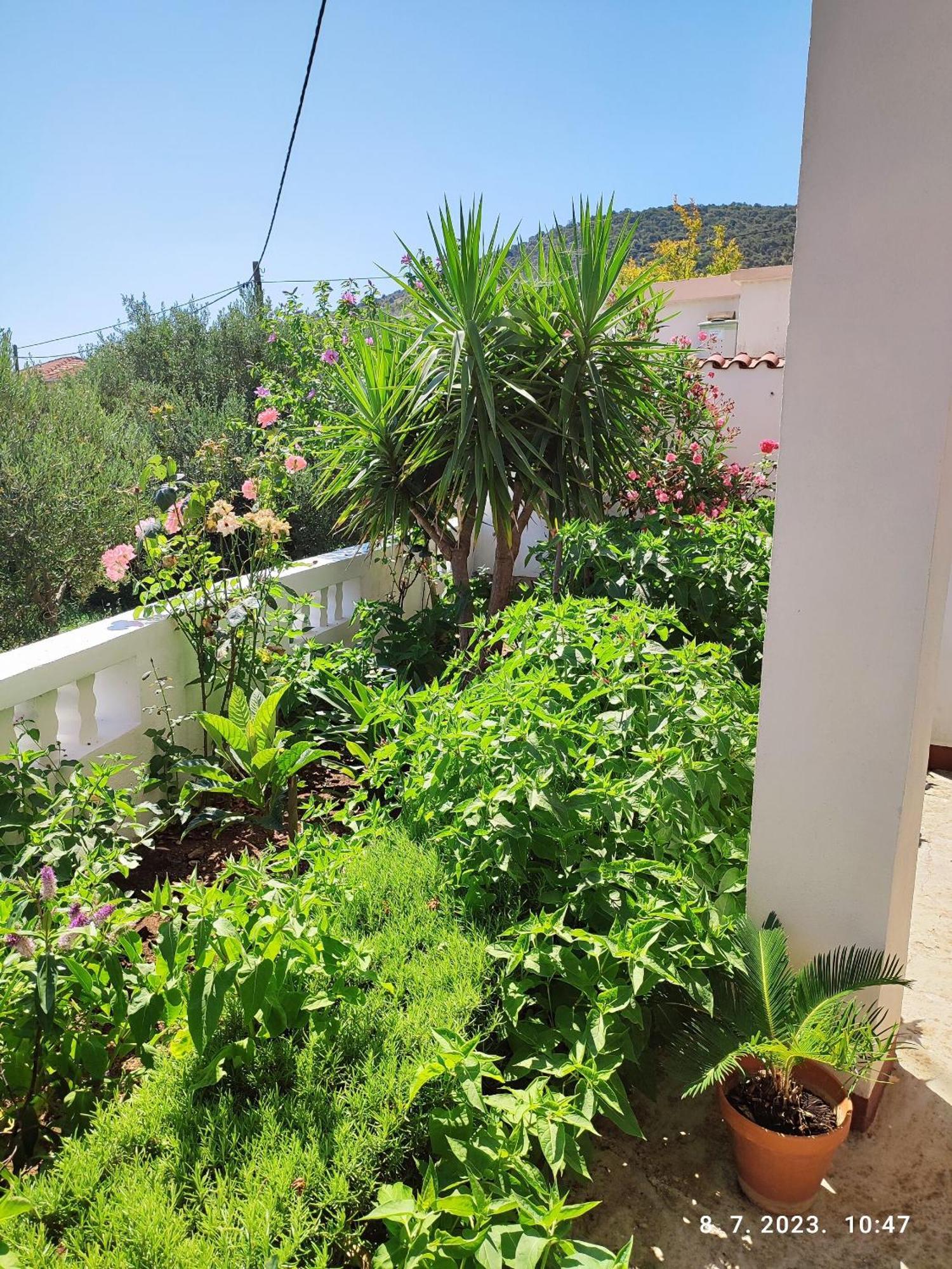 Apartment Slaven Vinišće Zewnętrze zdjęcie