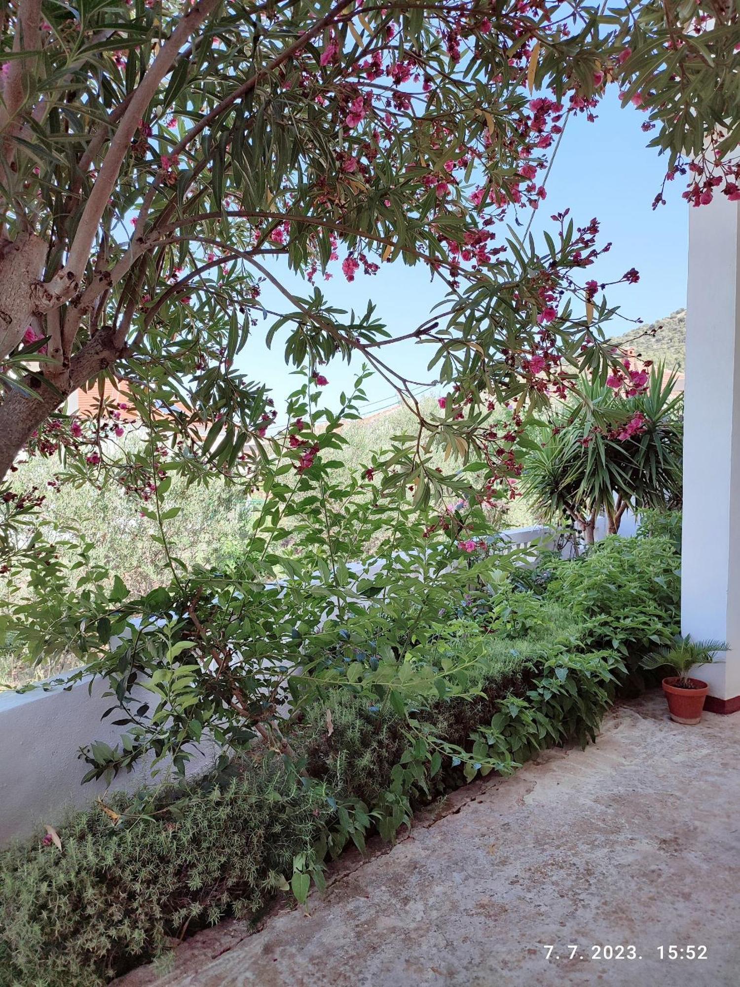 Apartment Slaven Vinišće Zewnętrze zdjęcie